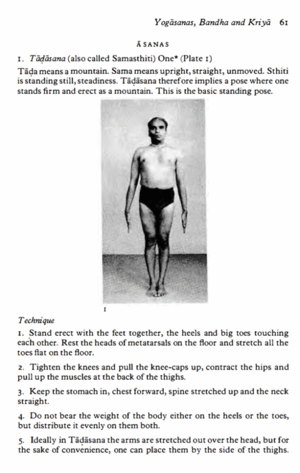 Light on Yoga: The Bible of Modern Yoga | ebook - 图片 3